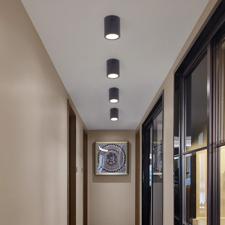 Downlight, Spotlight, Bulbs Fitting (Light not included)