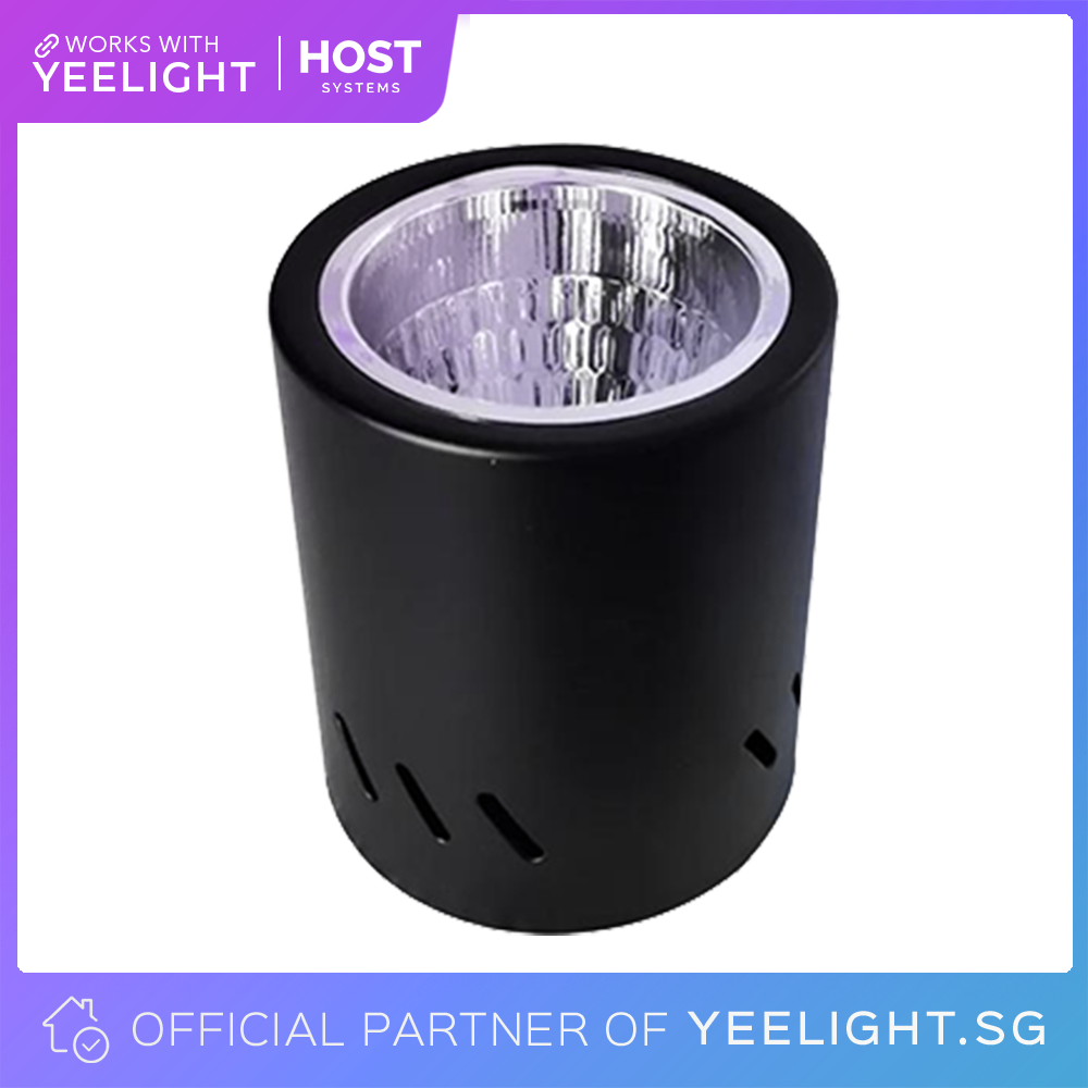 Downlight, Spotlight, Bulbs Fitting (Light not included)