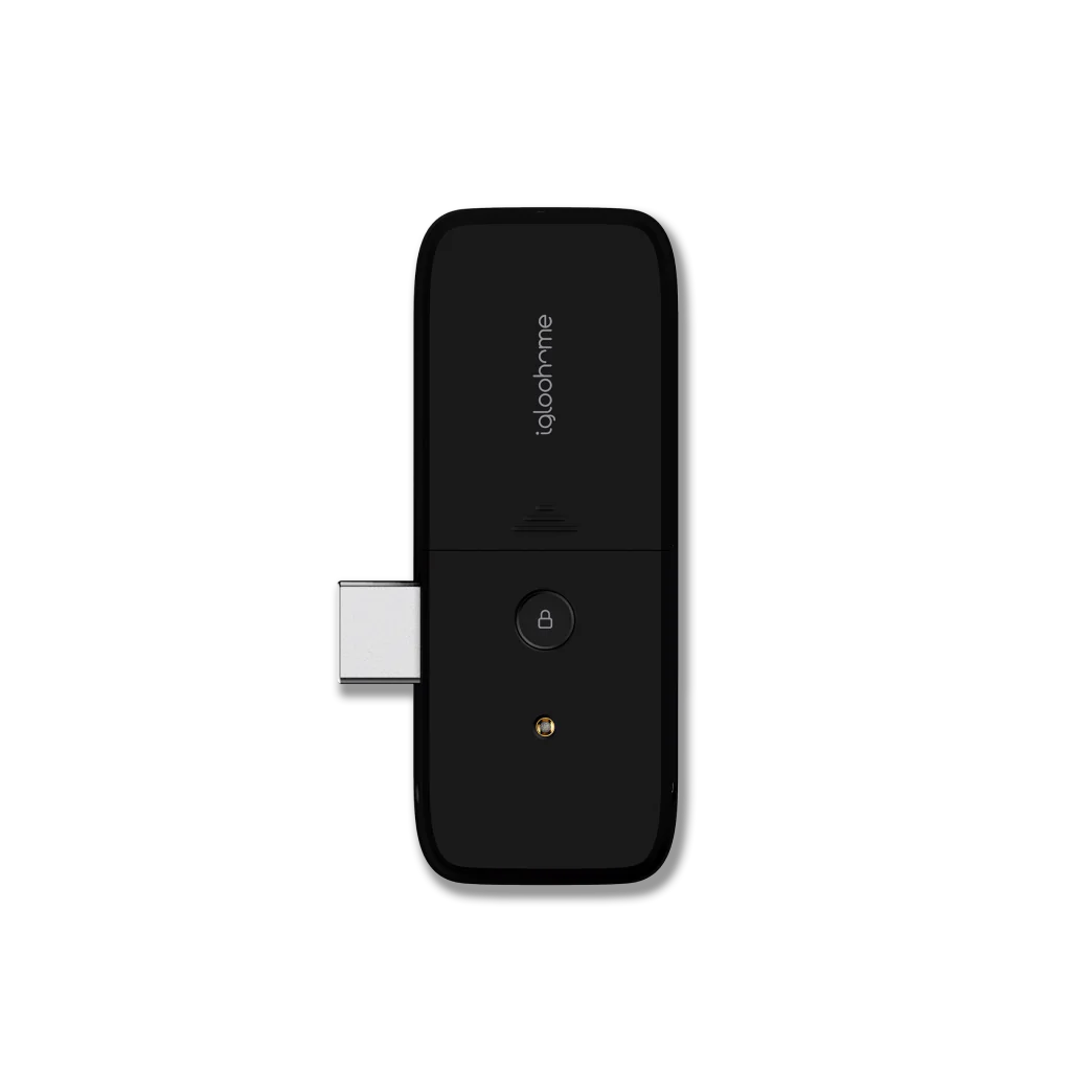 Igloohome Gate Lock