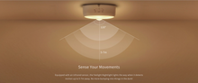 Load image into Gallery viewer, Yeelight Motion Sensor Night Light
