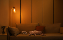 Load image into Gallery viewer, Yeelight LED Filament Bulb ST64
